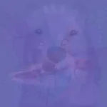 Morning Hydration: Why Drinking Water on an Empty Stomach is a Game-Changer for Your Health