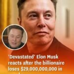 The Purpose of the Fabric Strip Across Hotel Beds: A Hidden Detail with Big Significance