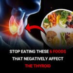 Why Is It Called Spam, Anyway? A Brief Inbox History Of The Product That Was Sold Over 8 Billion Times